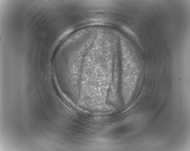 X0000065251411200603172152