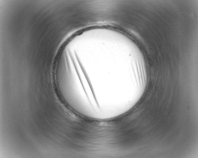 X0000065251412200603172152