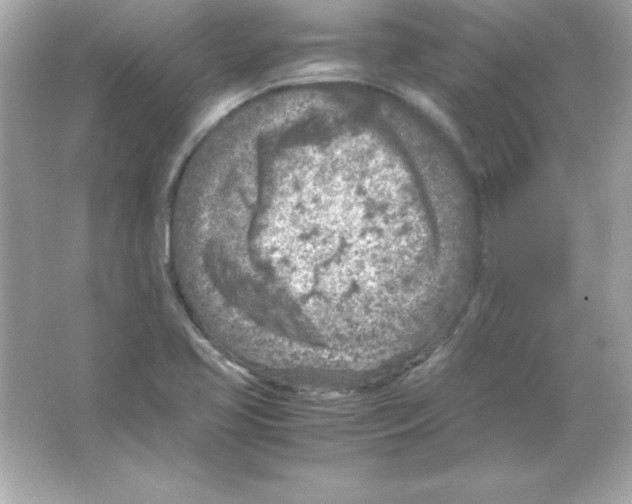 X0000065251413200603172152