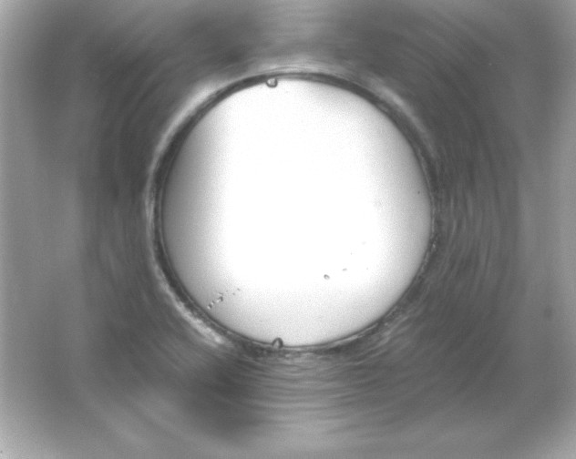 X0000065251416200603172152