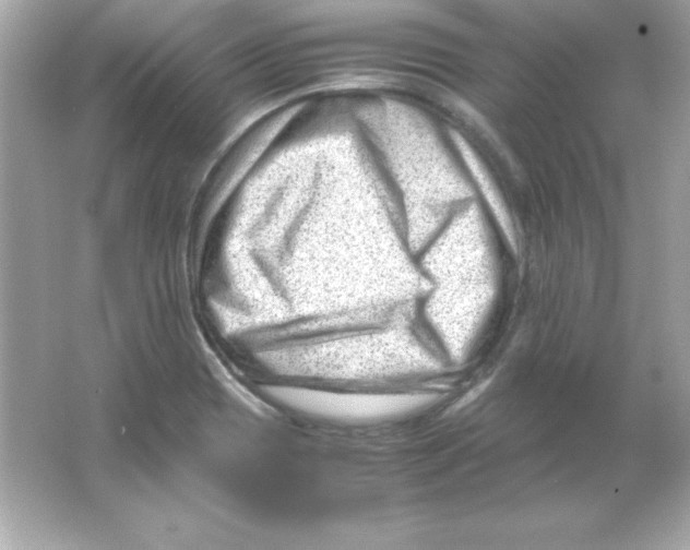 X0000065251417200603172152