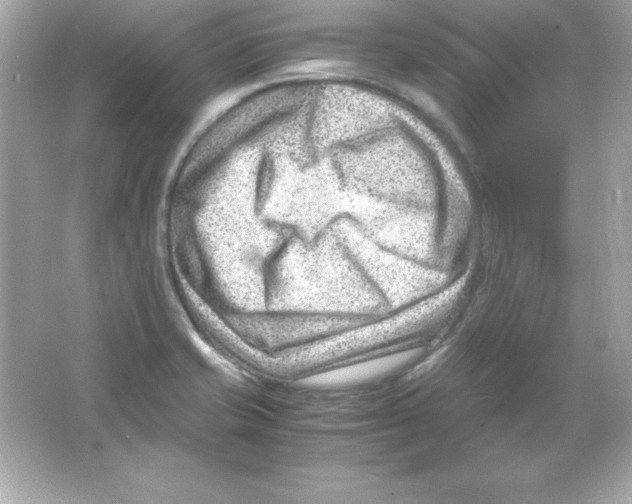 X0000065251421200603172152