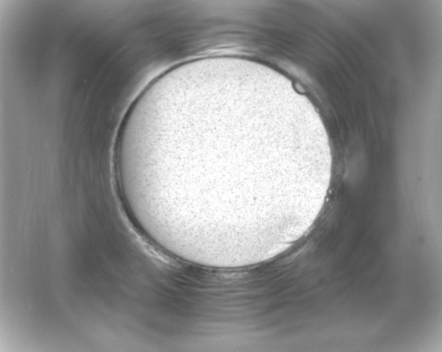 X0000065251423200603172152