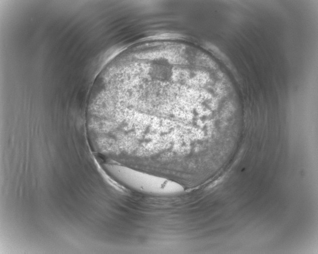 X0000065251425200603172152