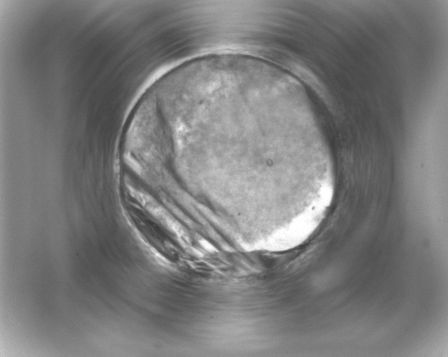 X0000065251428200603172152