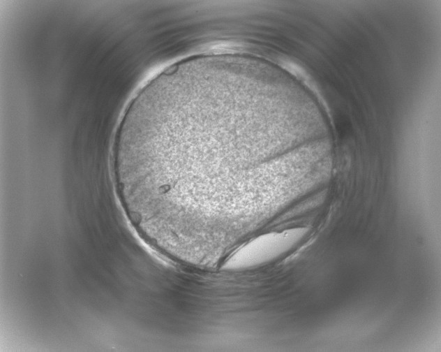 X0000065251429200603172152