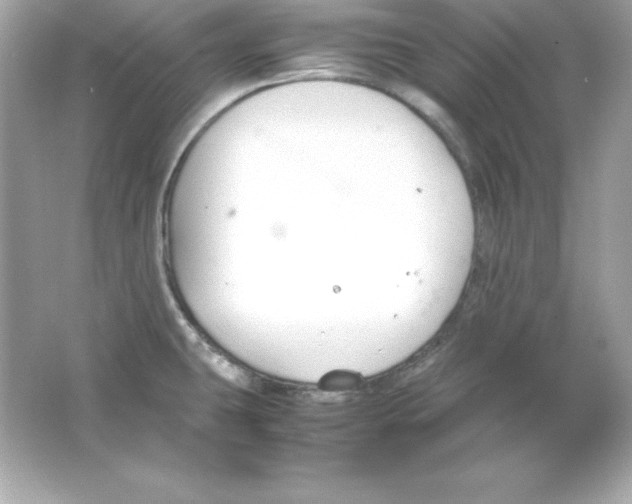 X0000065251431200603172152