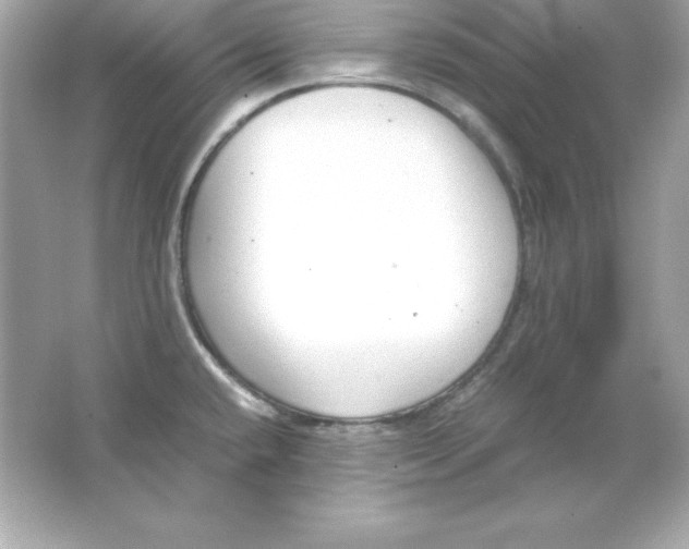 X0000065251432200603172152