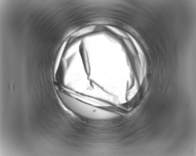 X0000065251433200603172152