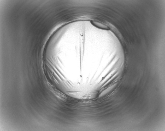 X0000065251435200603172153