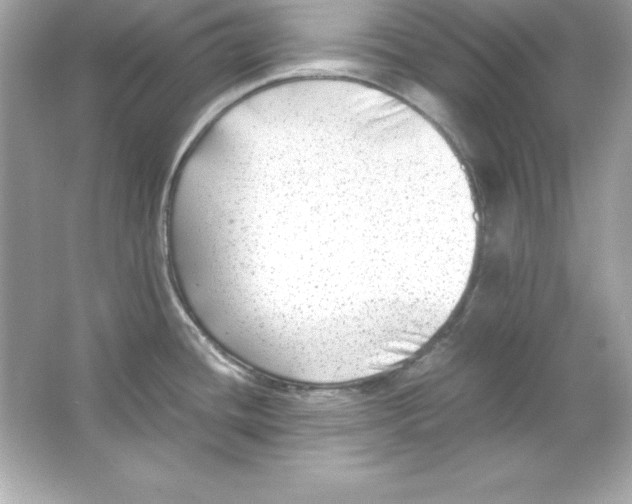 X0000065251436200603172153