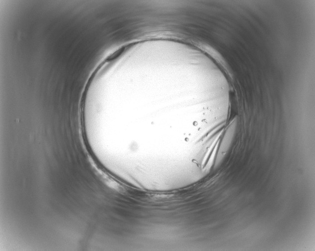 X0000065251439200603172153