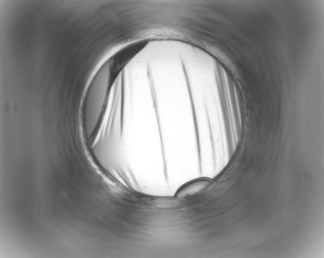 X0000065251440200603172153