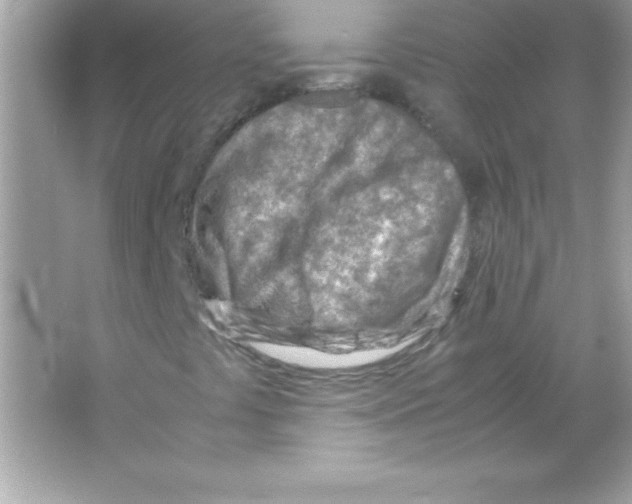 X0000065251441200603172152