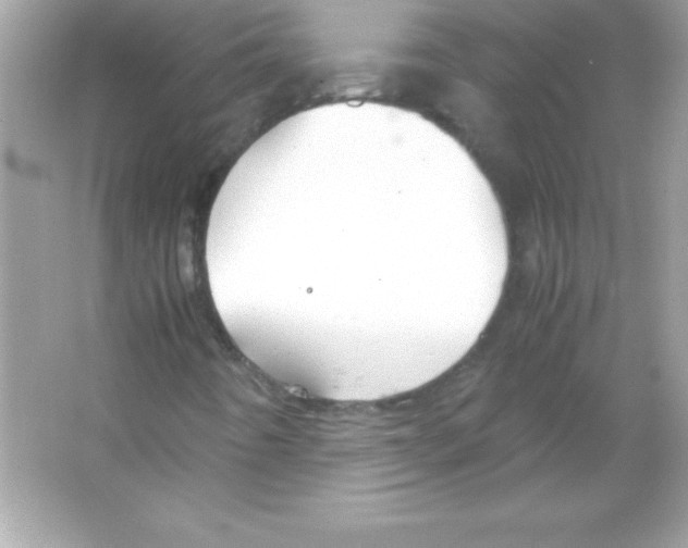 X0000065251442200603172152