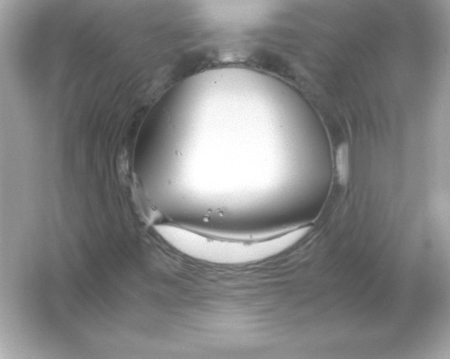 X0000065251443200603172152