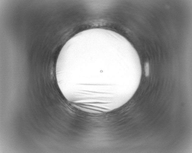 X0000065251444200603172152