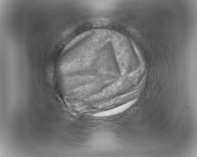 X0000065251445200603172152