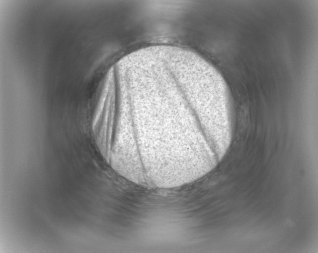 X0000065251446200603172152