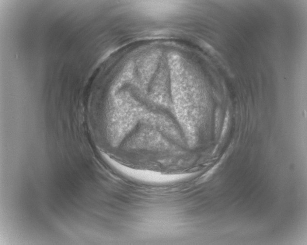 X0000065251449200603172152