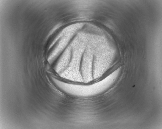 X0000065251450200603172152