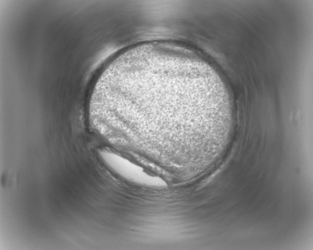 X0000065251453200603172152