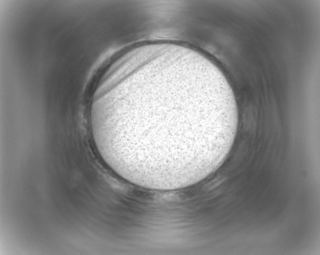 X0000065251454200603172152