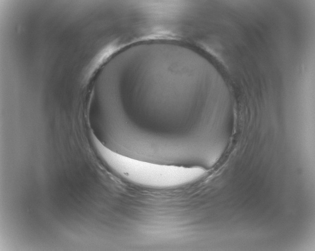 X0000065251455200603172152