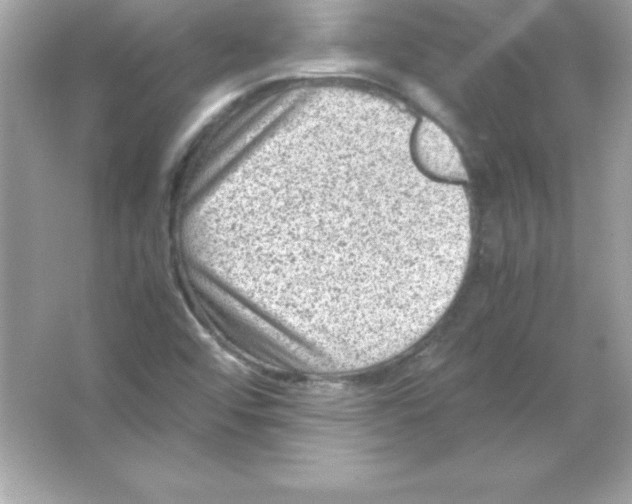 X0000065251456200603172152