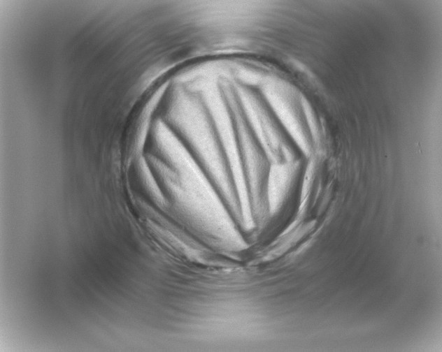 X0000065251457200603172152