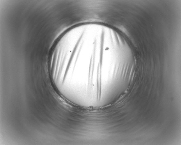 X0000065251460200603172151