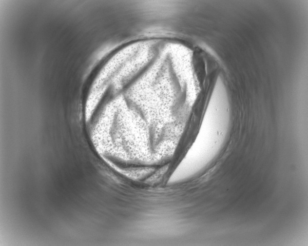 X0000065251461200603172151