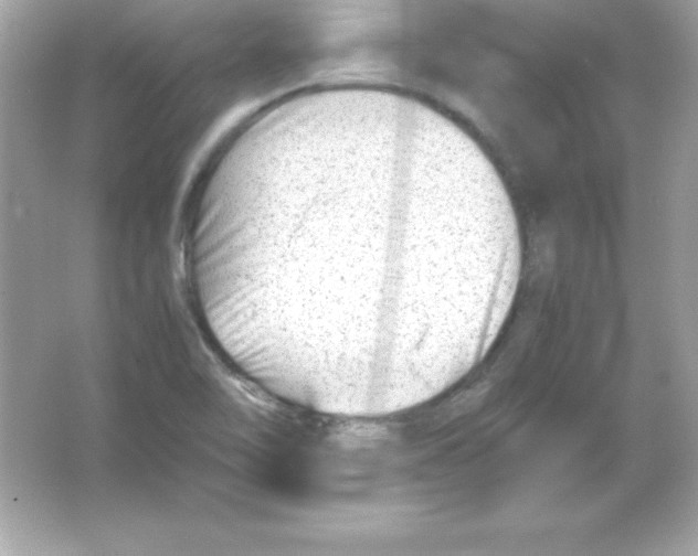 X0000065251462200603172151