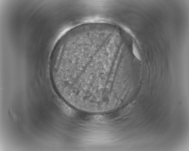 X0000065251463200603172151