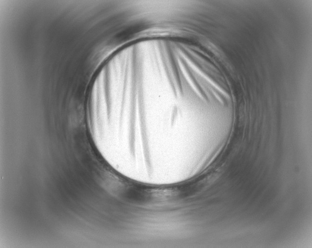 X0000065251465200603172151