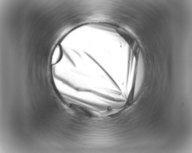 X0000065251469200603172151