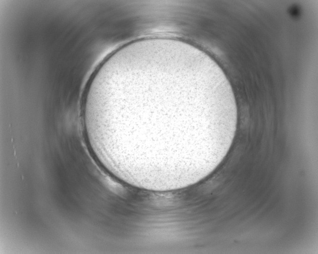 X0000065251470200603172151