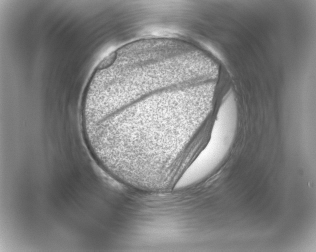 X0000065251471200603172151