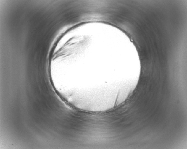 X0000065251472200603172151