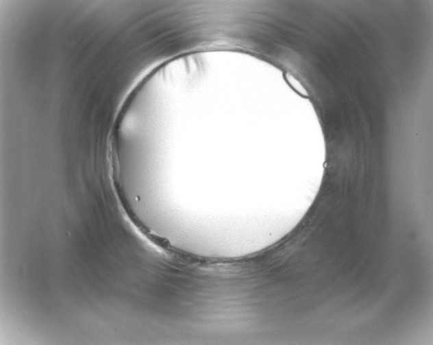 X0000065251476200603172151