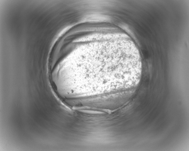 X0000065251477200603172151