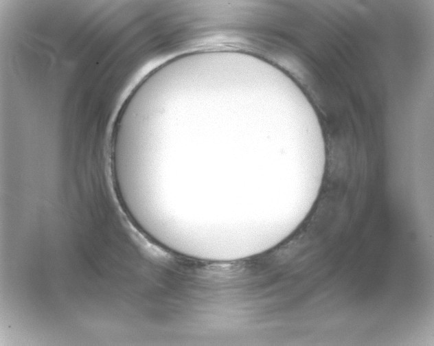 X0000065251478200603172151