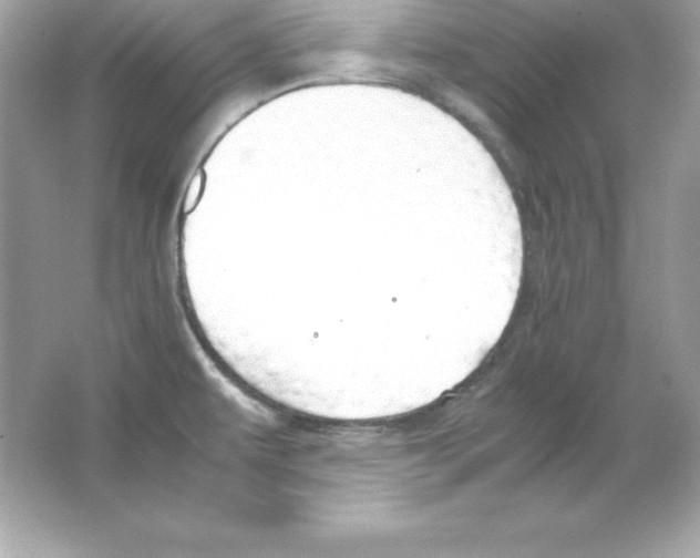 X0000065251479200603172151