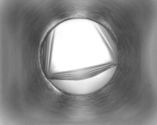 X0000065251480200603172151