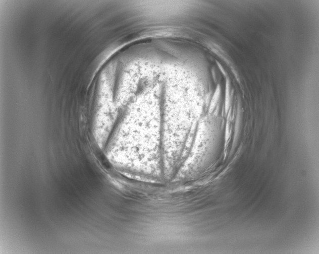 X0000065251481200603172151