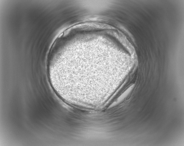 X0000065251483200603172151