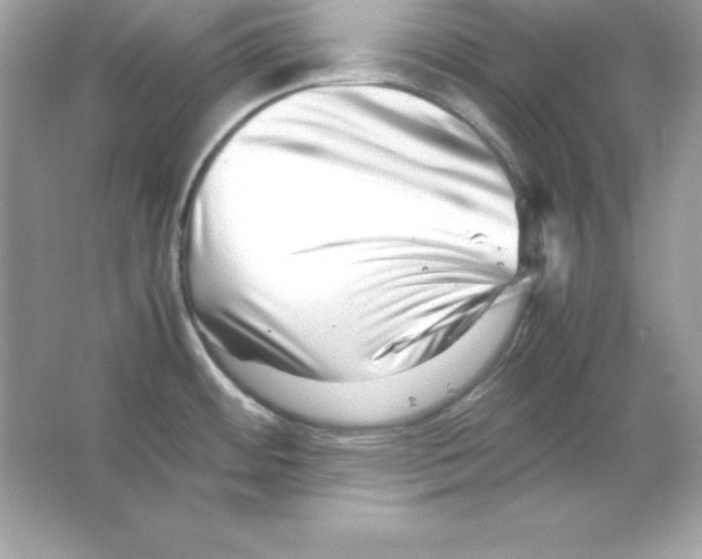 X0000065251484200603172151