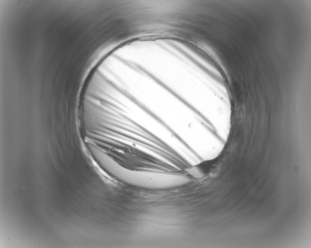 X0000065251485200603172151