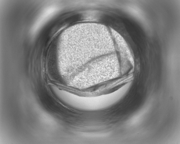 X0000065251487200603172151