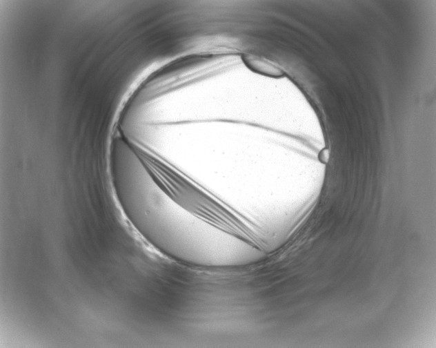 X0000065251488200603172151